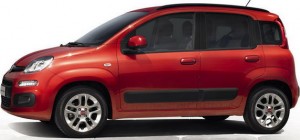 panda
