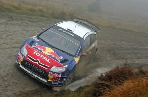 loeb